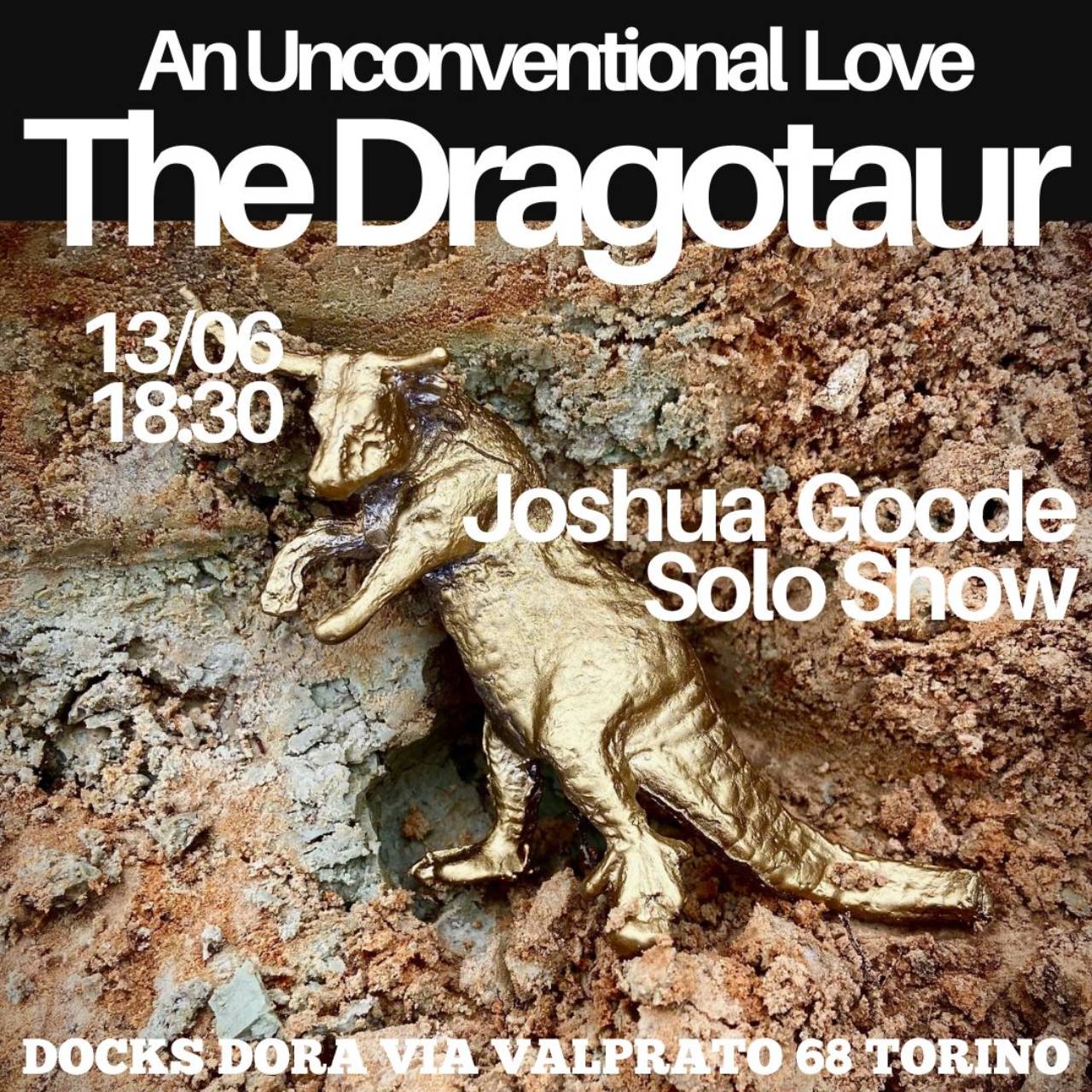 An Unconventional Love -The Dragotaur-